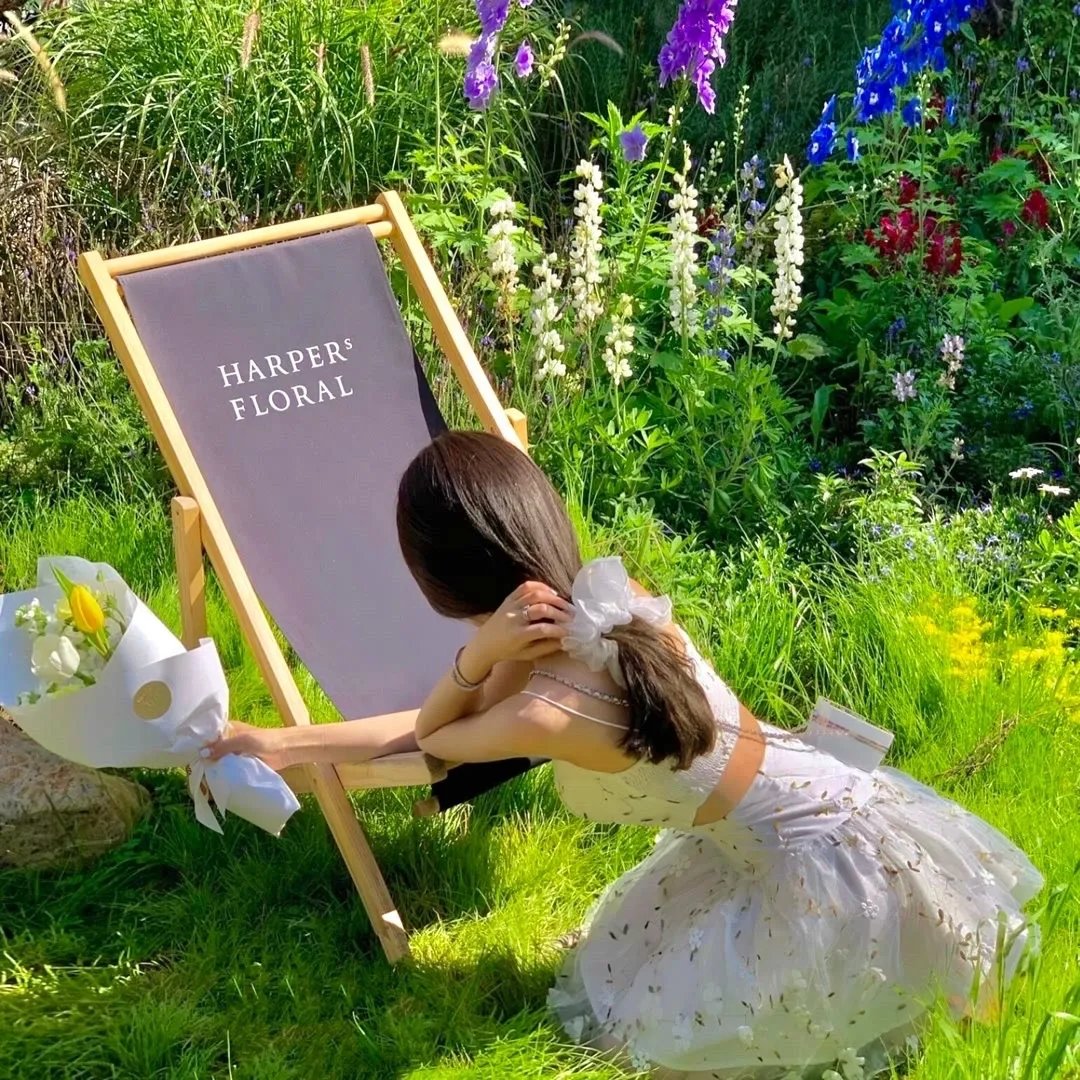 我的青春不再见